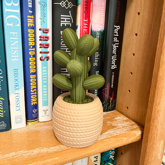 Cactus Book Shelf Decor